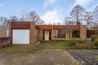 Te koop: Kolkrijst 164