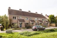Te huur: Goudenregen 28