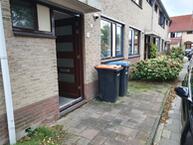 Te huur: Lepelblad 3