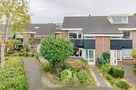 Te koop: van Hamelstraat 54