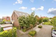 Te koop: Kikkerbeet 8