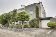 Te koop: Ranonkel 8