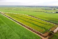 Te koop: Weelsedijk