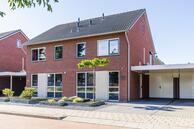 Te koop: Watermunt 18
