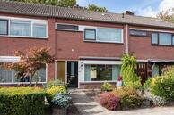 Te huur: J.H. Molkenboerstraat 14