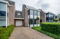 Te koop: Gouden Regen 6