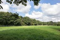Te koop: Midwolderweg