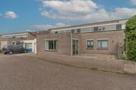 Te koop: Heggeroos 20