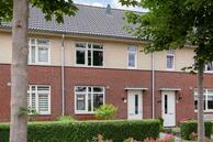 Te koop: Paardenbloem 18