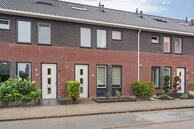 Te koop: Koolwitje 9