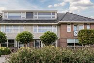 Te koop: Kreeft 7