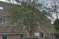 Te huur: Kraaijenkampzoom 50