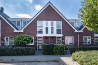 Te koop: Dwergmeeuw 15