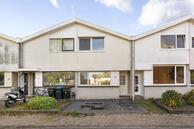 Te koop: Van Hallstraat 14